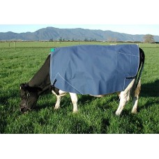 Lined Cow Cover